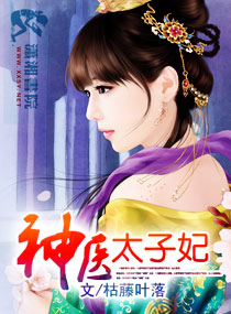 神医太子妃章节列表