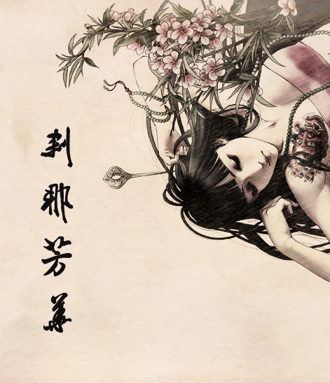 刹那芳华章节列表