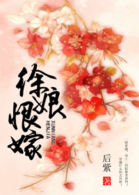 徐娘恨嫁章节列表