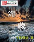 海藏章节列表
