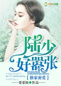 独家密爱，陆少好嚣张章节列表