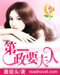 第一政要夫人章节列表