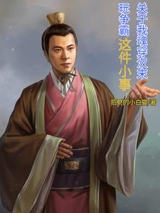 关于我魂穿汉末玩争霸这小事章节列表