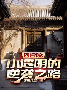 四合院：小透明的逆袭之路章节列表