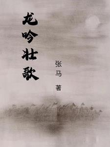 龙吟壮歌章节列表