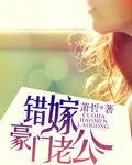 错嫁豪门老公章节列表