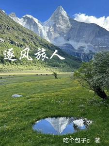 逐风旅人章节列表