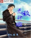 无敌神偷章节列表