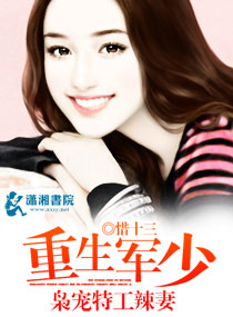 重生军少：枭宠特工辣妻章节列表