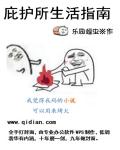 庇护所生活指南章节列表