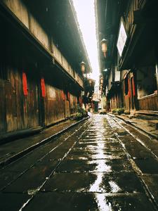 掠夺与守护章节列表