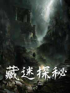 藏迷探秘章节列表