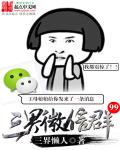 三界微信群章节列表