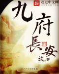 九府长安章节列表