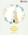 韩城浮生章节列表