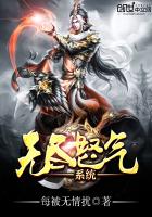 无尽怒气系统章节列表