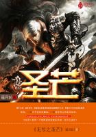 无尽之圣芒章节列表