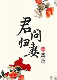 君问归妻章节列表