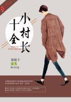 十全小村长章节列表