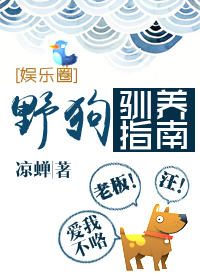 野狗驯养指南章节列表