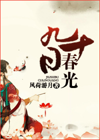 九十日春光章节列表