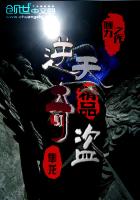 逆天奇盗章节列表
