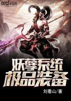 妖孽系统极品装备章节列表
