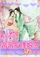 霸宠为妃：亲亲狐狸娘子章节列表
