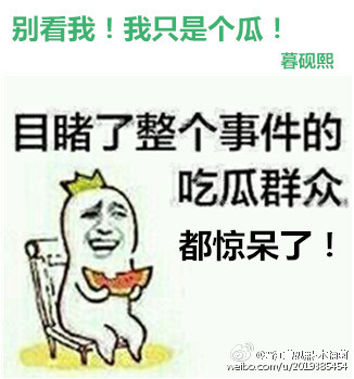 别看我！我只是个瓜！章节列表