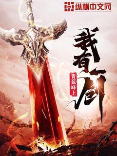 诸天无敌剑修叶观纳兰迦完整版章节列表