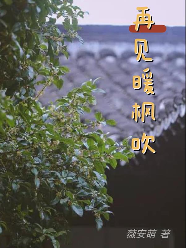 再见暖枫吹章节列表