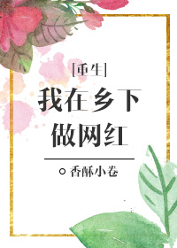 我在乡下做网红[重生]章节列表