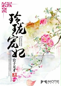 玲珑宠妃章节列表