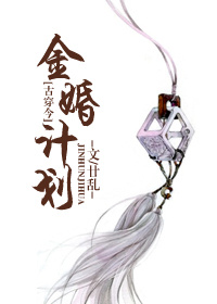 金婚计划章节列表