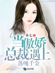 当傲娇总裁遇上落魄千金章节列表