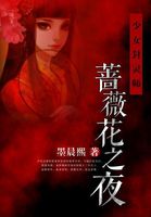 少女封灵师：蔷薇花之夜章节列表