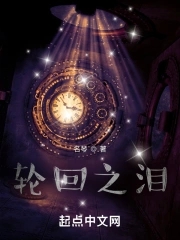 轮回之泪章节列表