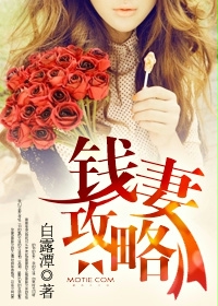 钱妻攻略章节列表