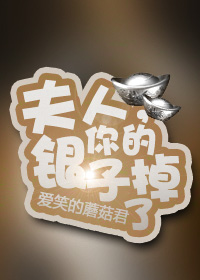 夫人，你的银子掉了GL章节列表