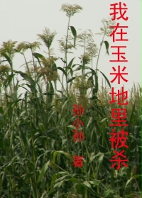 我在玉米地里被杀章节列表