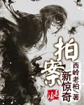 拍案新惊奇章节列表