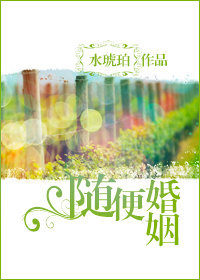 随便婚姻章节列表
