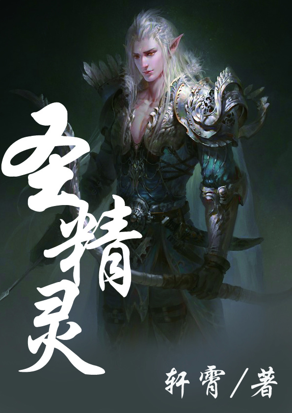 圣精灵章节列表