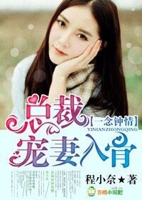 一念钟情，首席爱你入骨章节列表