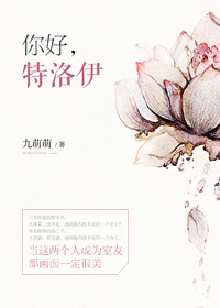 你好，特洛伊章节列表