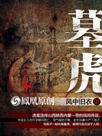 墓虎（第二部）章节列表