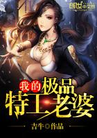 我的极品特工老婆章节列表