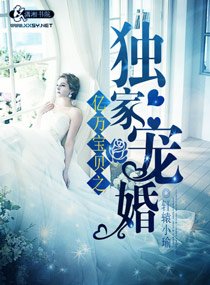 亿万宝贝之独家宠婚章节列表