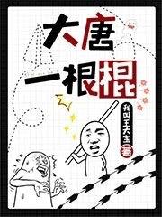 大唐一根棍章节列表