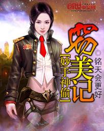 妙手神偷窃美记章节列表